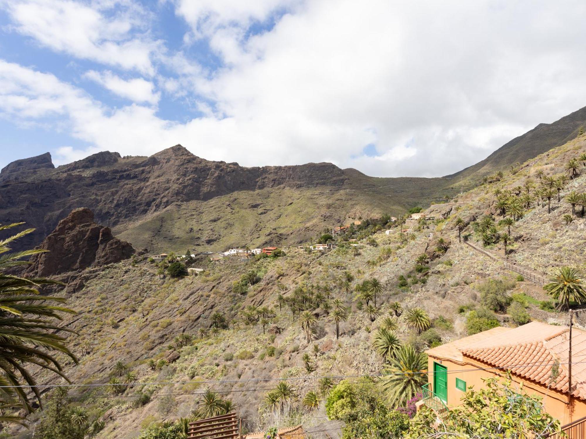 Live Masca Casatarucho Villa Buenavista Del Norte Buitenkant foto